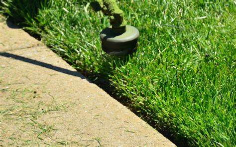 TOP 10 BEST Lawn Service in Chula Vista, CA